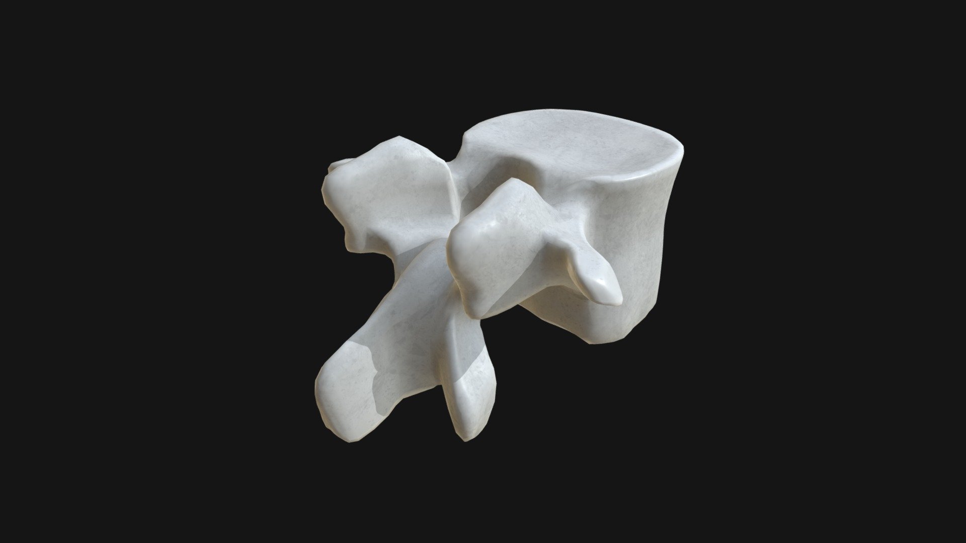 Anatomy – Lumbar vertebra