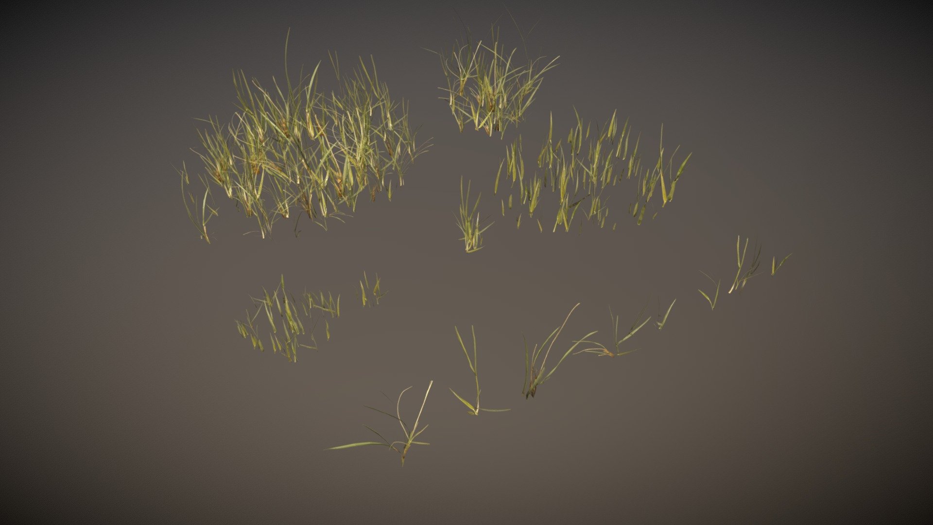 Beach Grass Pack