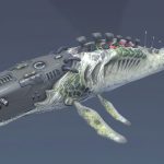 biomechanical whale animated 3d model