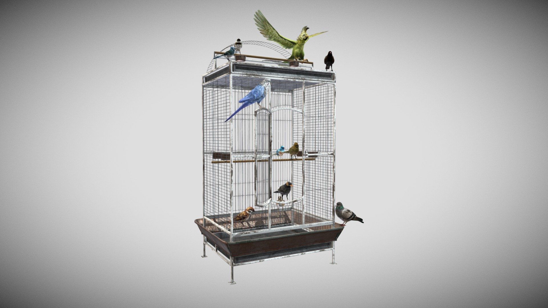 Bird’s Open Cage