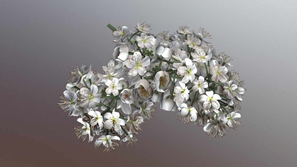 blossom of a rowan low poly 3d model