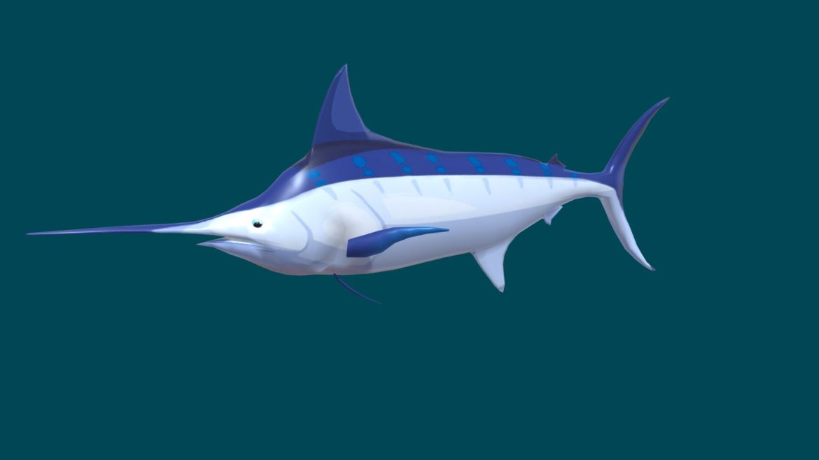blue marlin 3d model