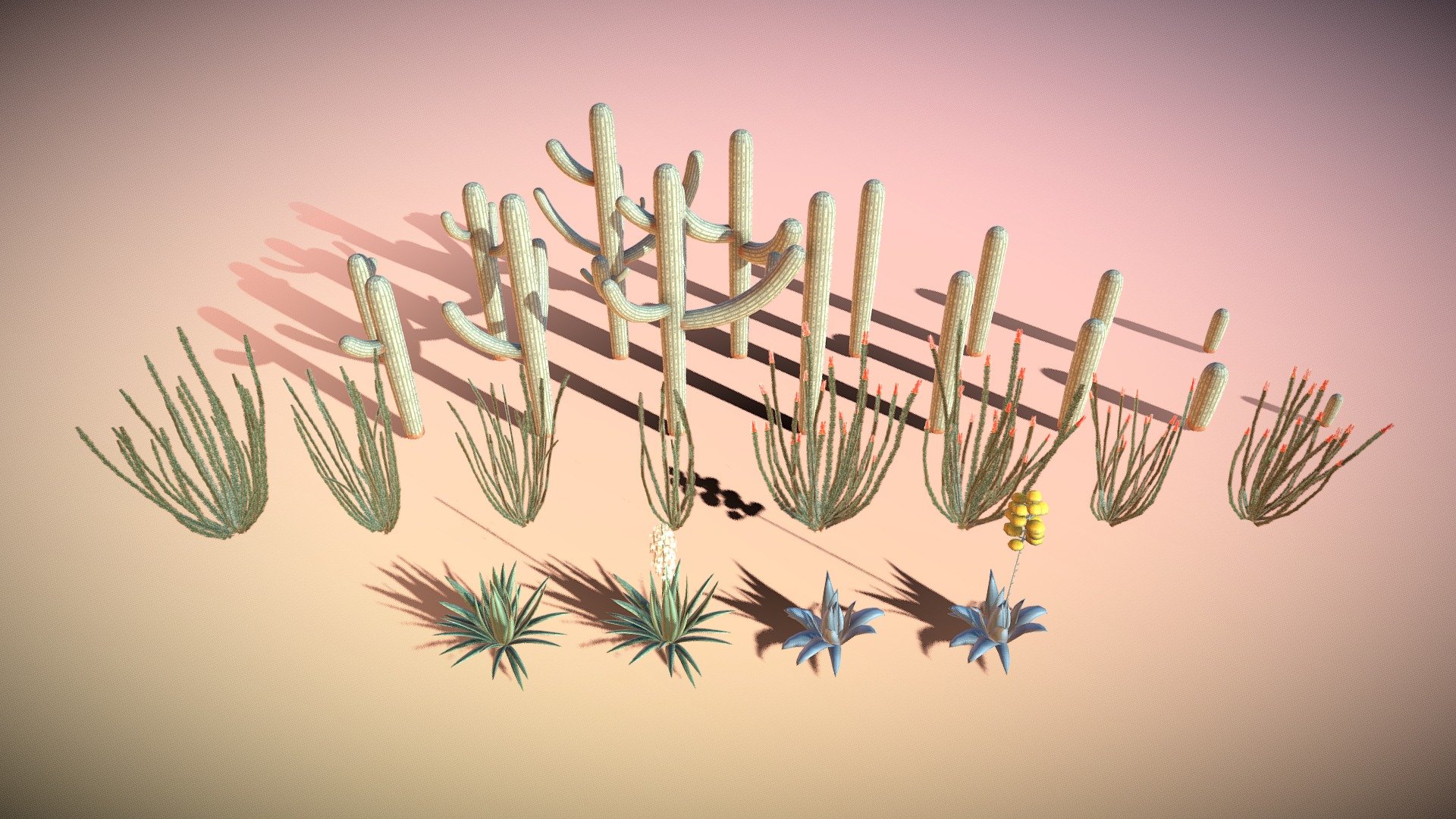 Cactus Set