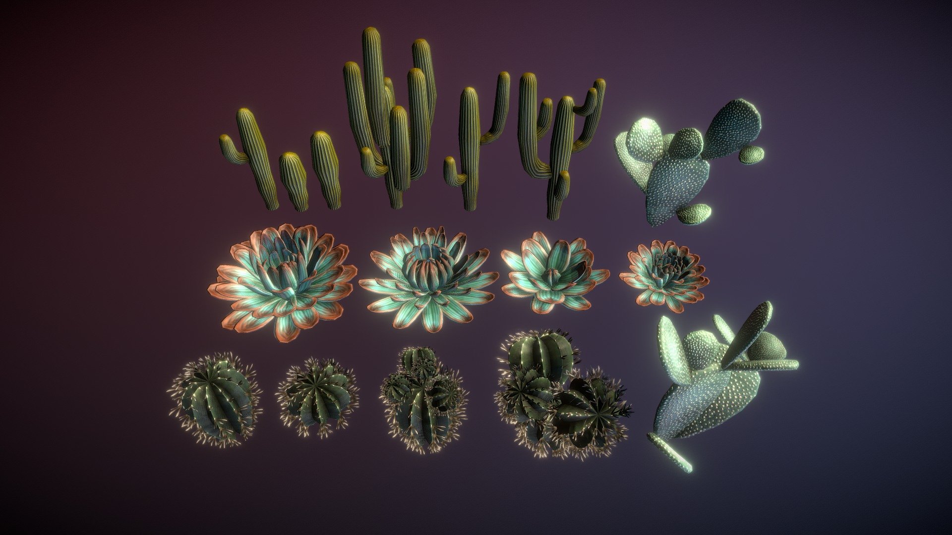 Cactuses
