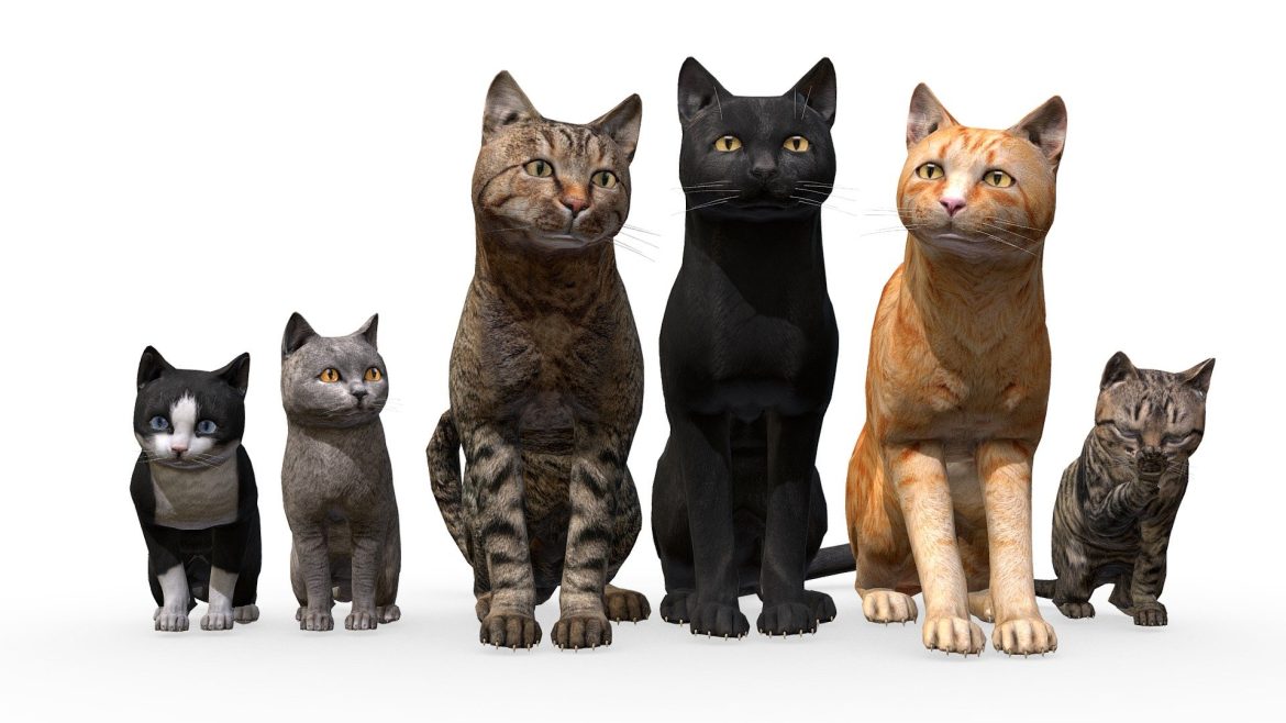 cat family 3d model