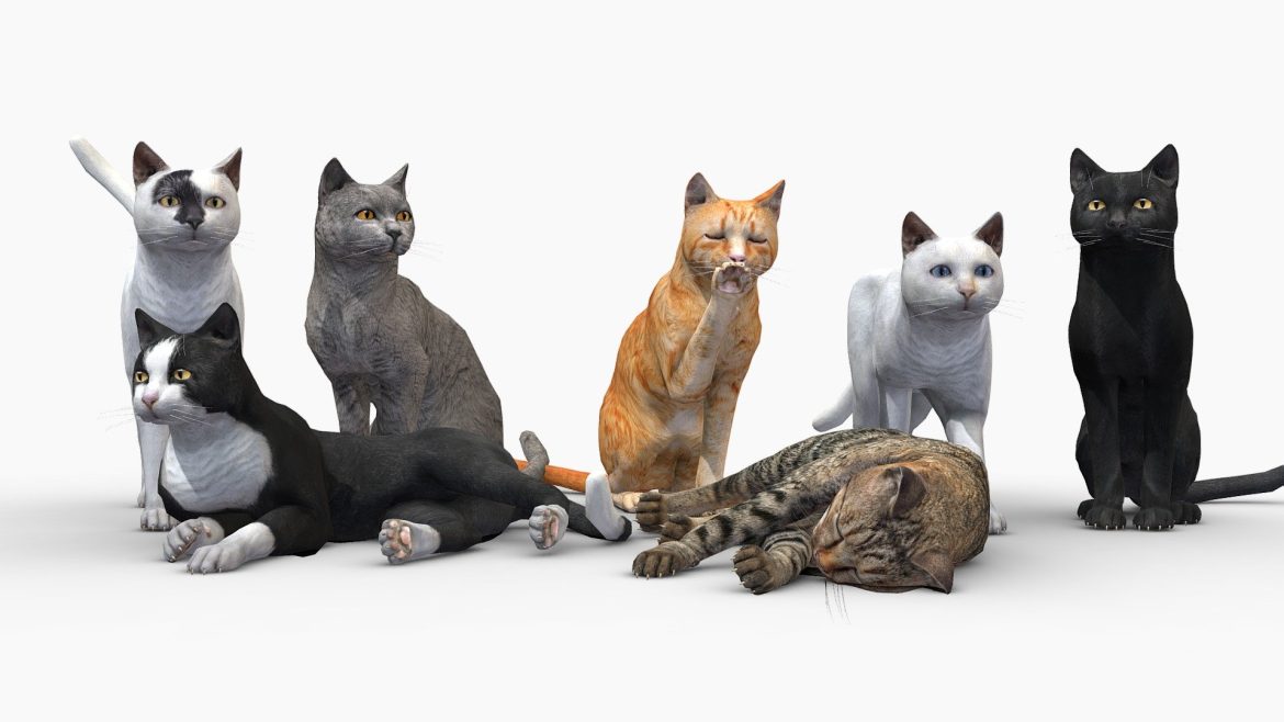 cats pack 3d model