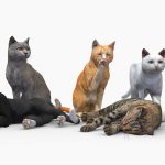 cats pack 3d model