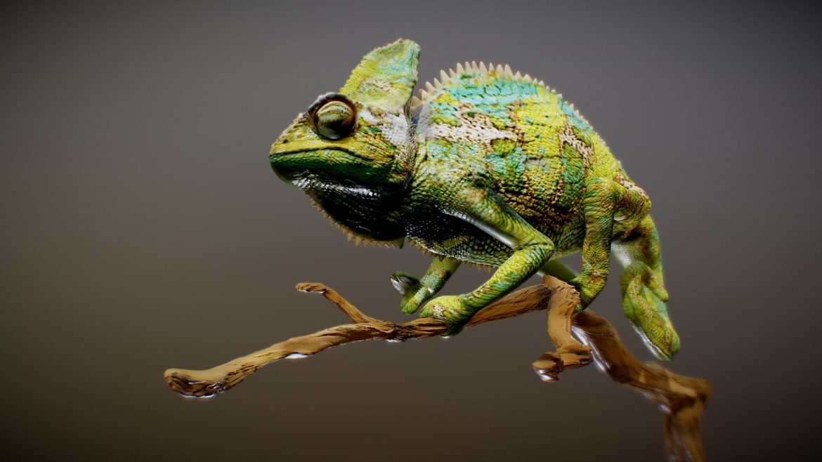 chameleon sculpt 3d model