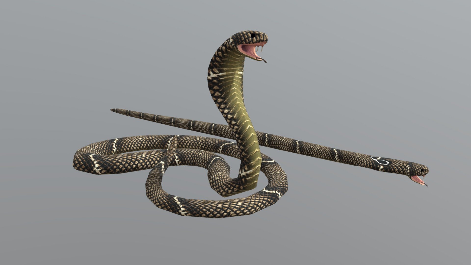 Cobra snake 3D Print Model