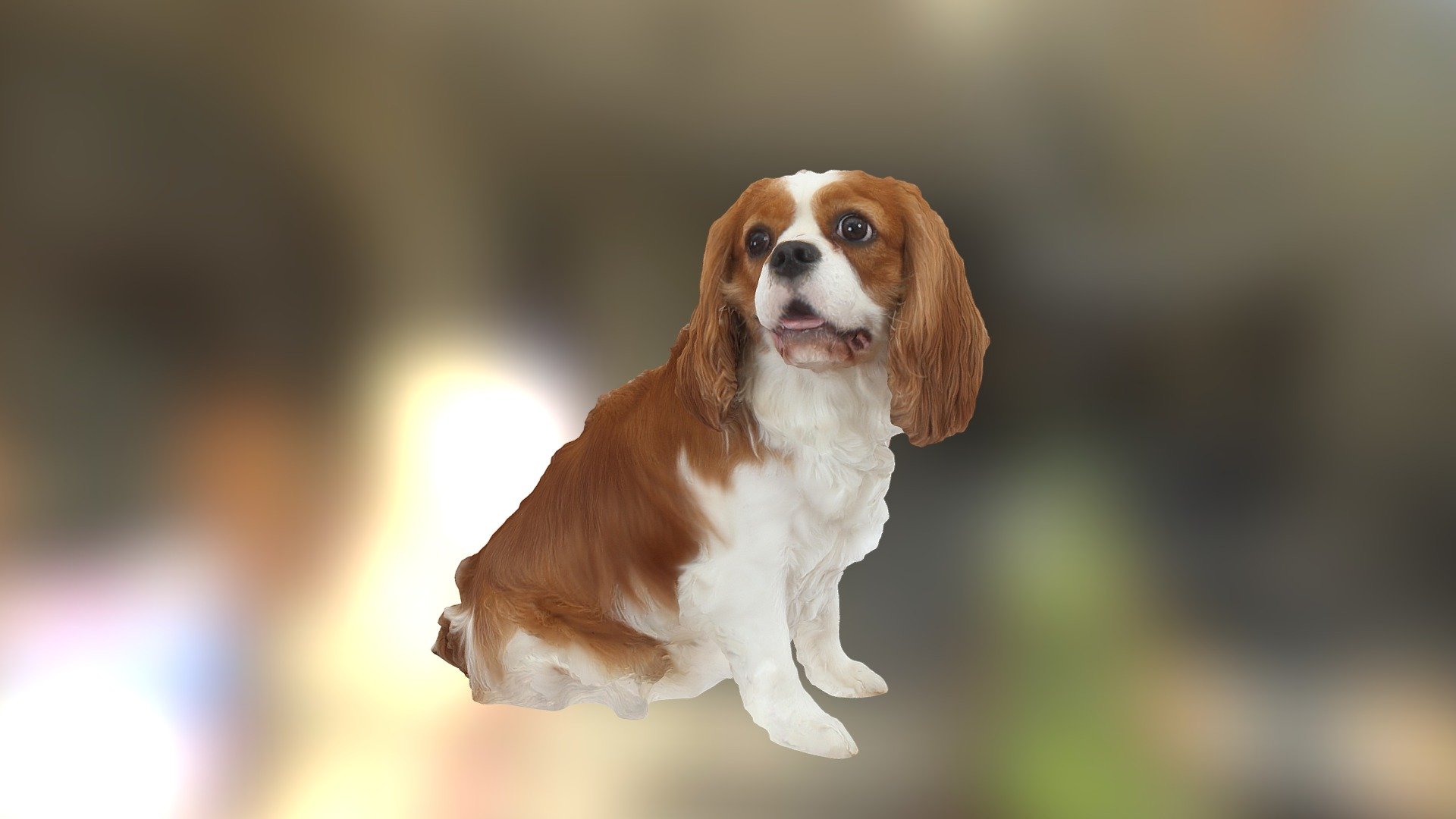 Coolest dog ever