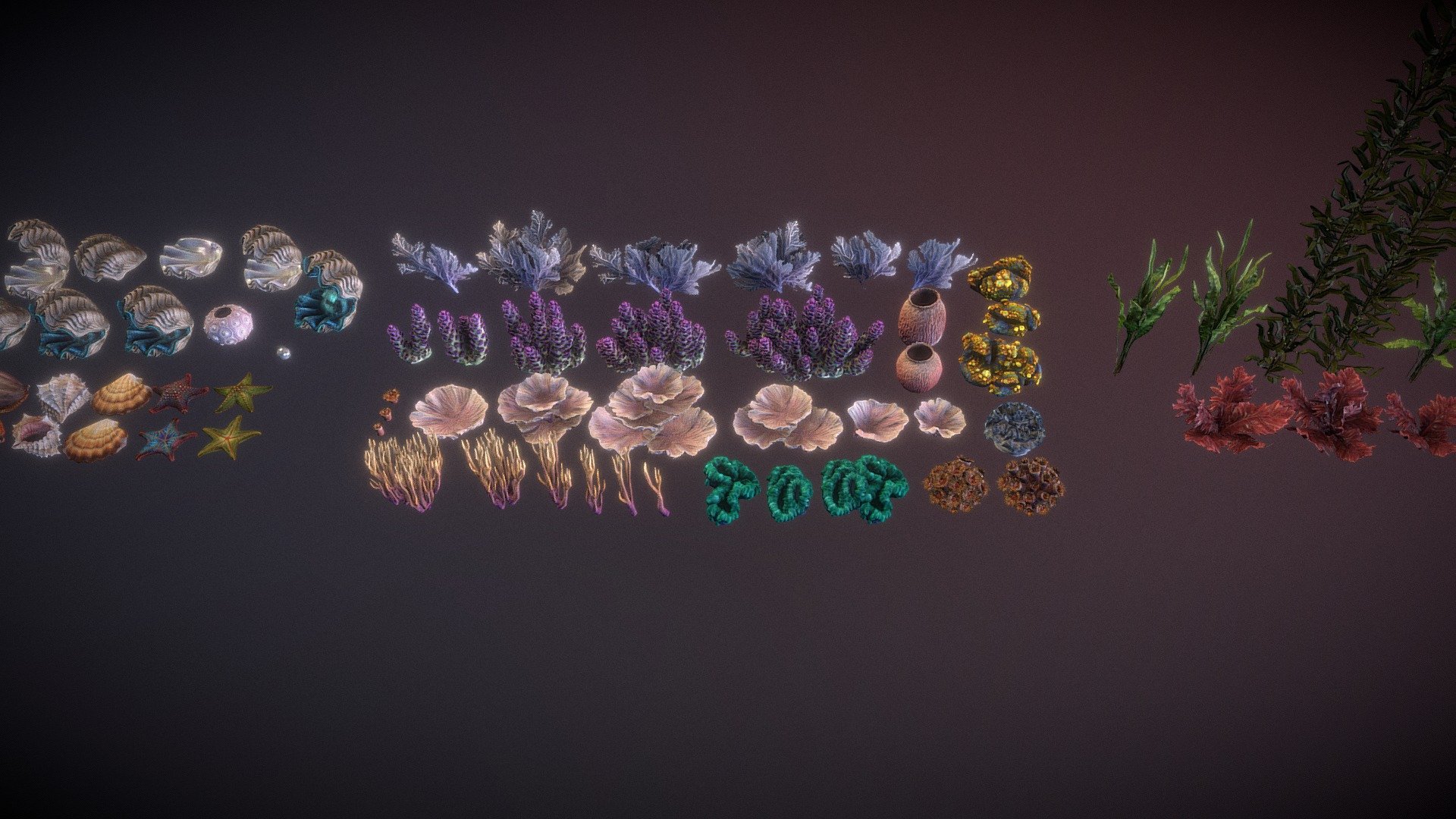 Corals 2