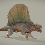 dimetrodon grandis 3d model