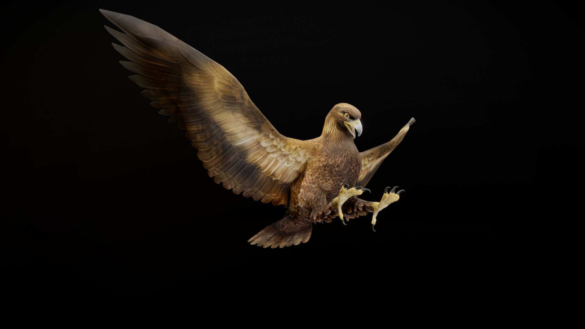EAGLE ANIMATIONS