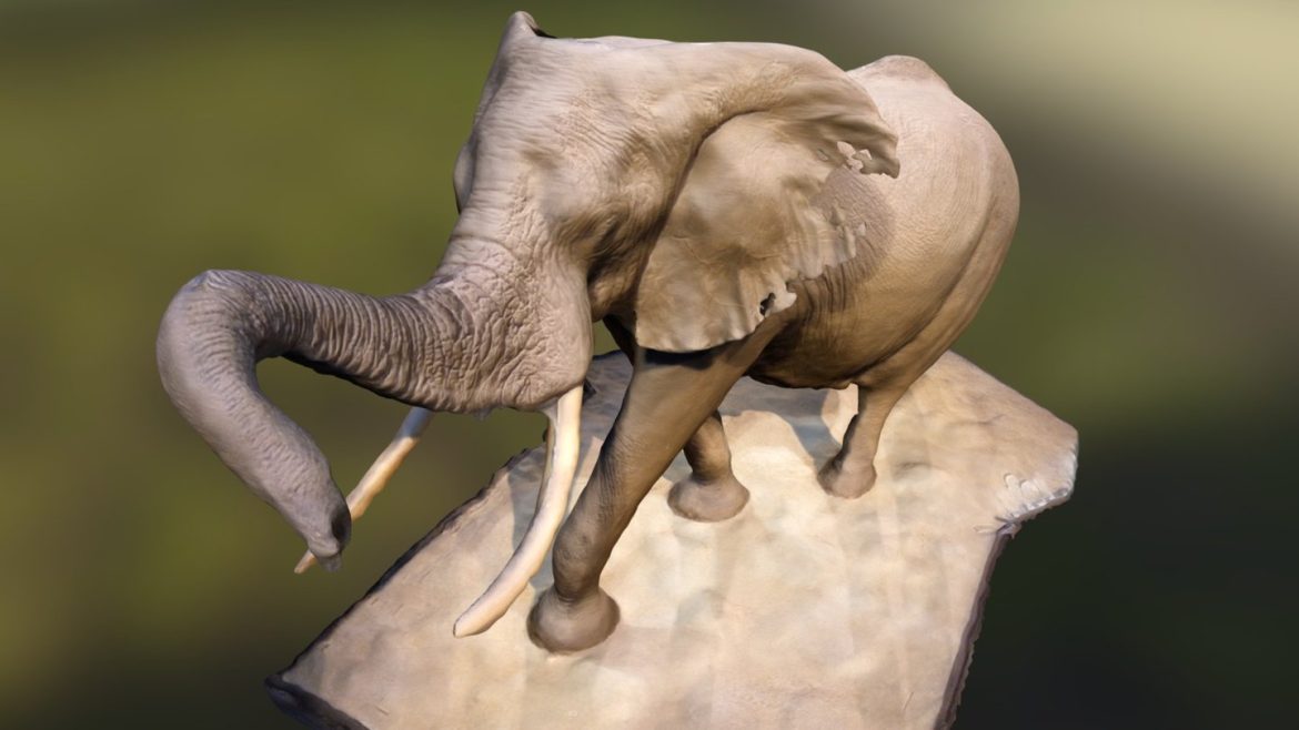 elephant in the rotunda 3d model