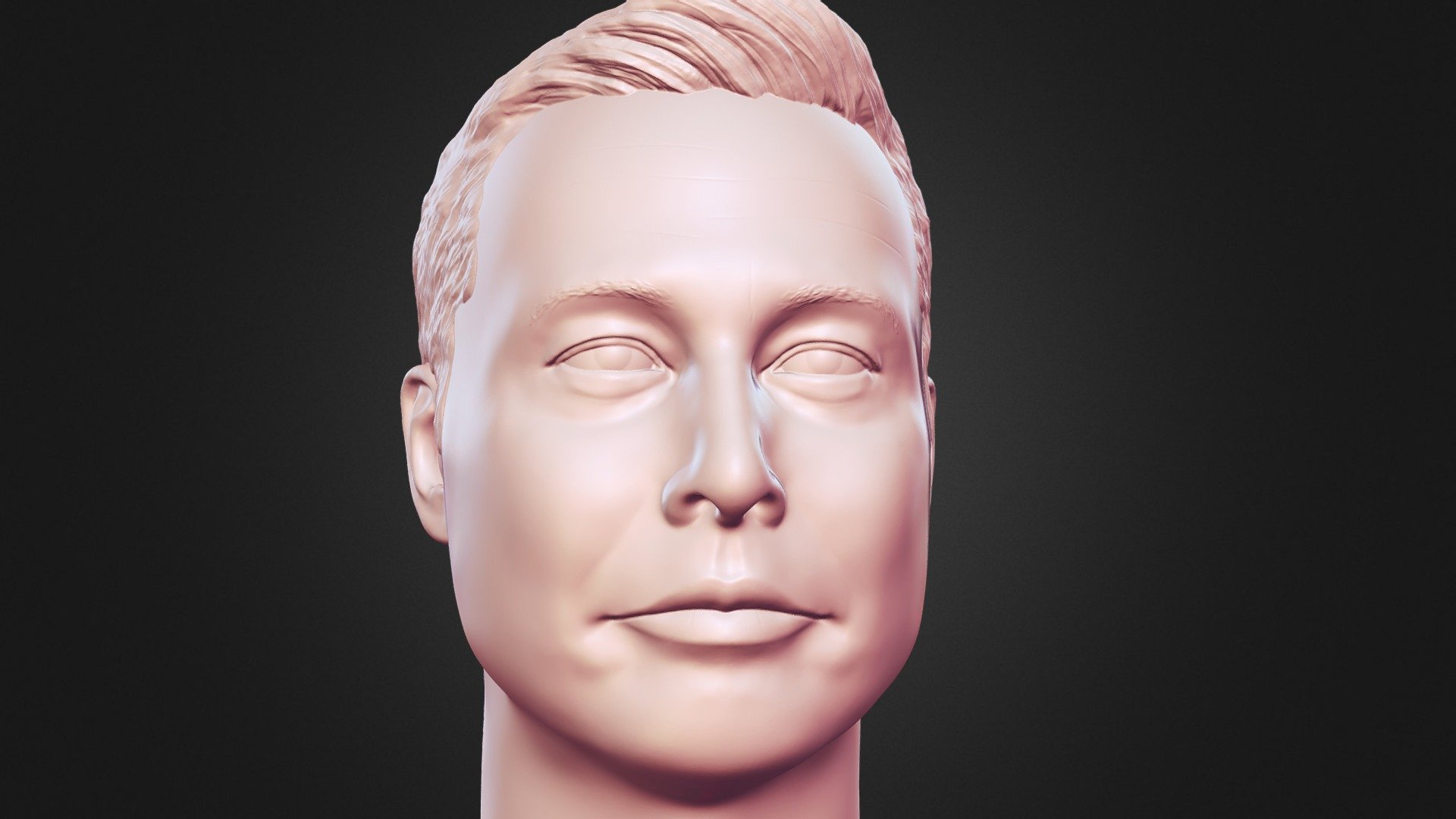 Elon Musk 3d Printable portrait sculpture - deep3dsea