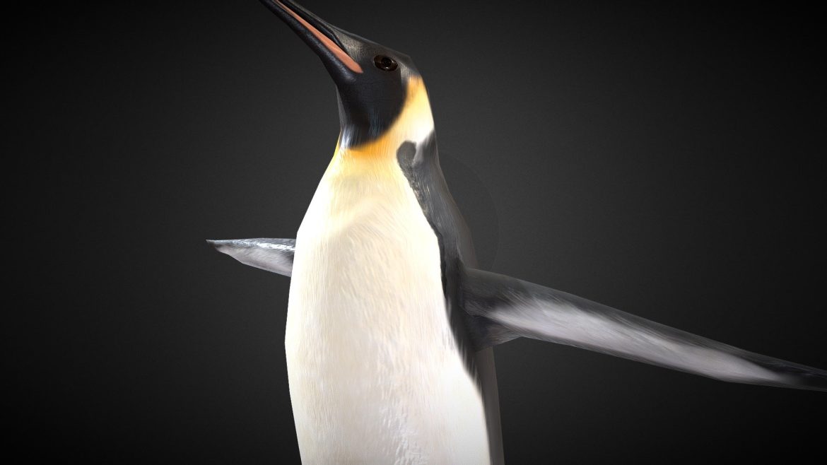 emperor penguin rigged 3d model