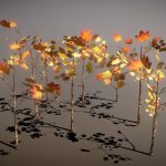 Forest Undergrowth