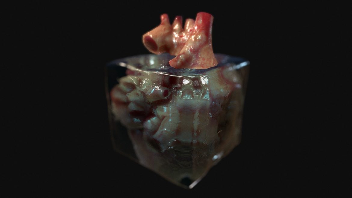 Frozen Heart 3d Model - Frozen heart 3D model with realistic subsurface scattering and ice refraction