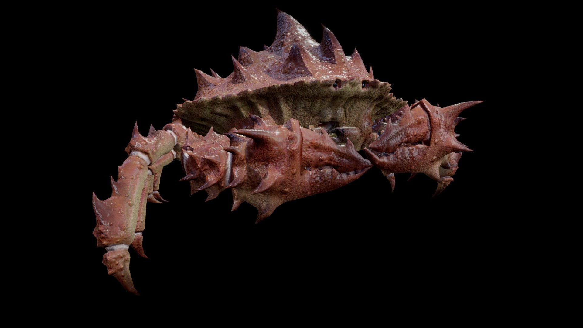 GIANT CRAB ANIMATIONS