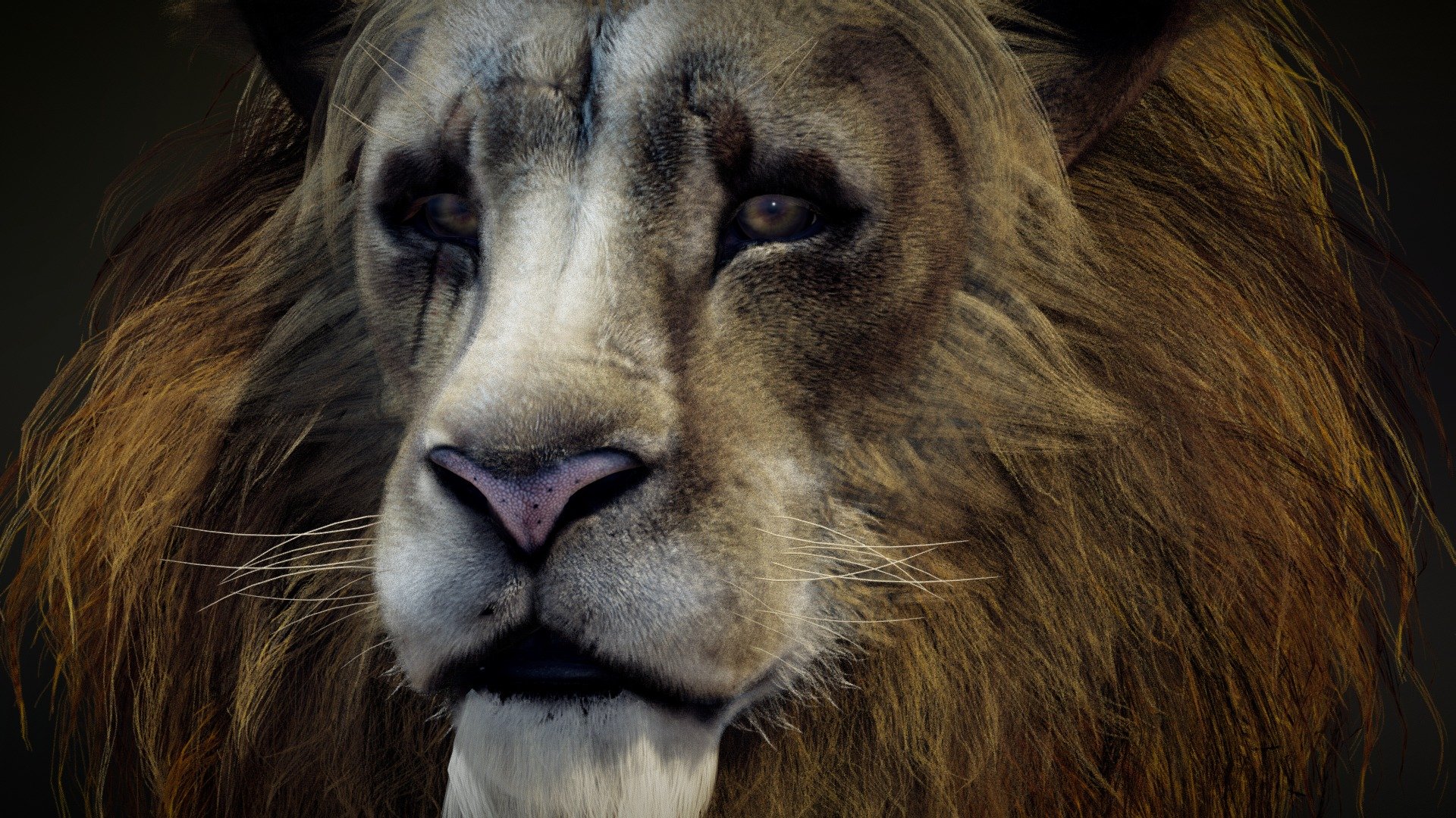 Graograman (FUR Study)