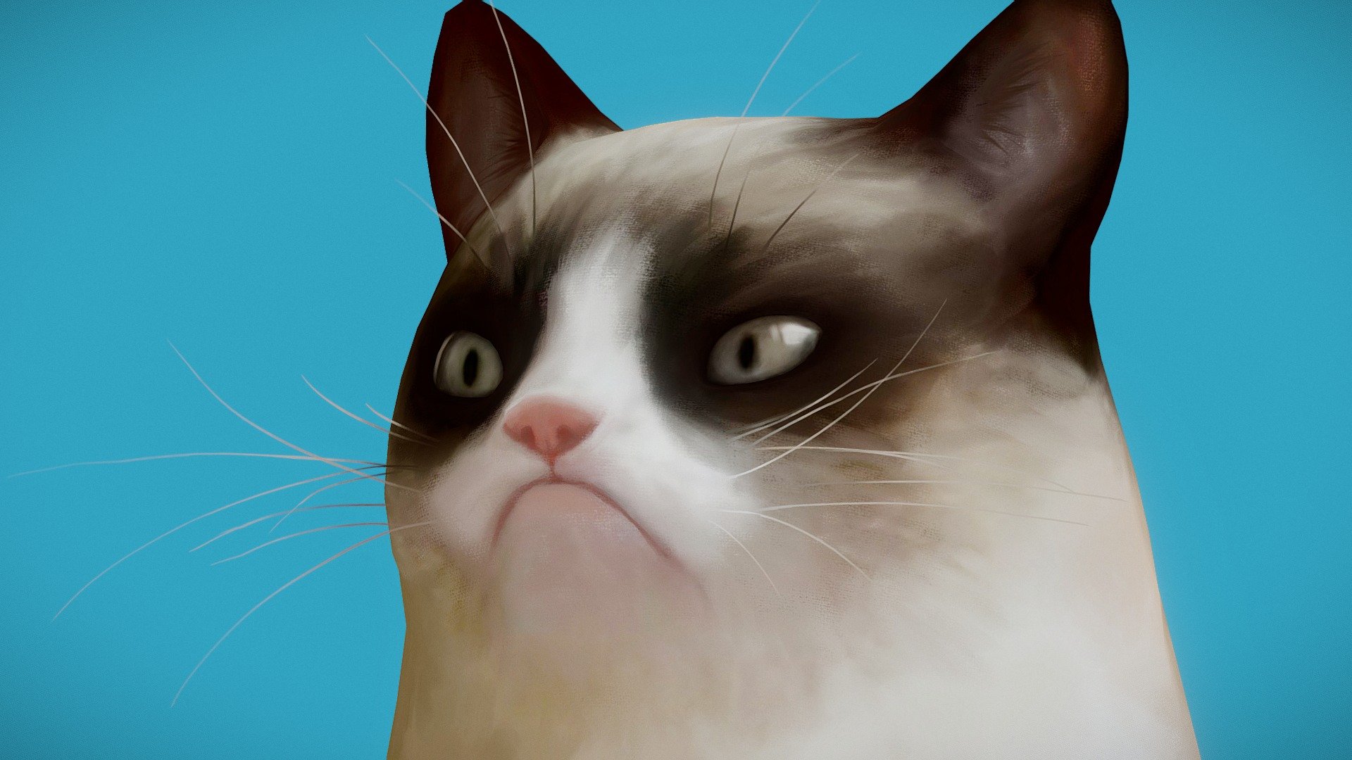 Grumpy Cat