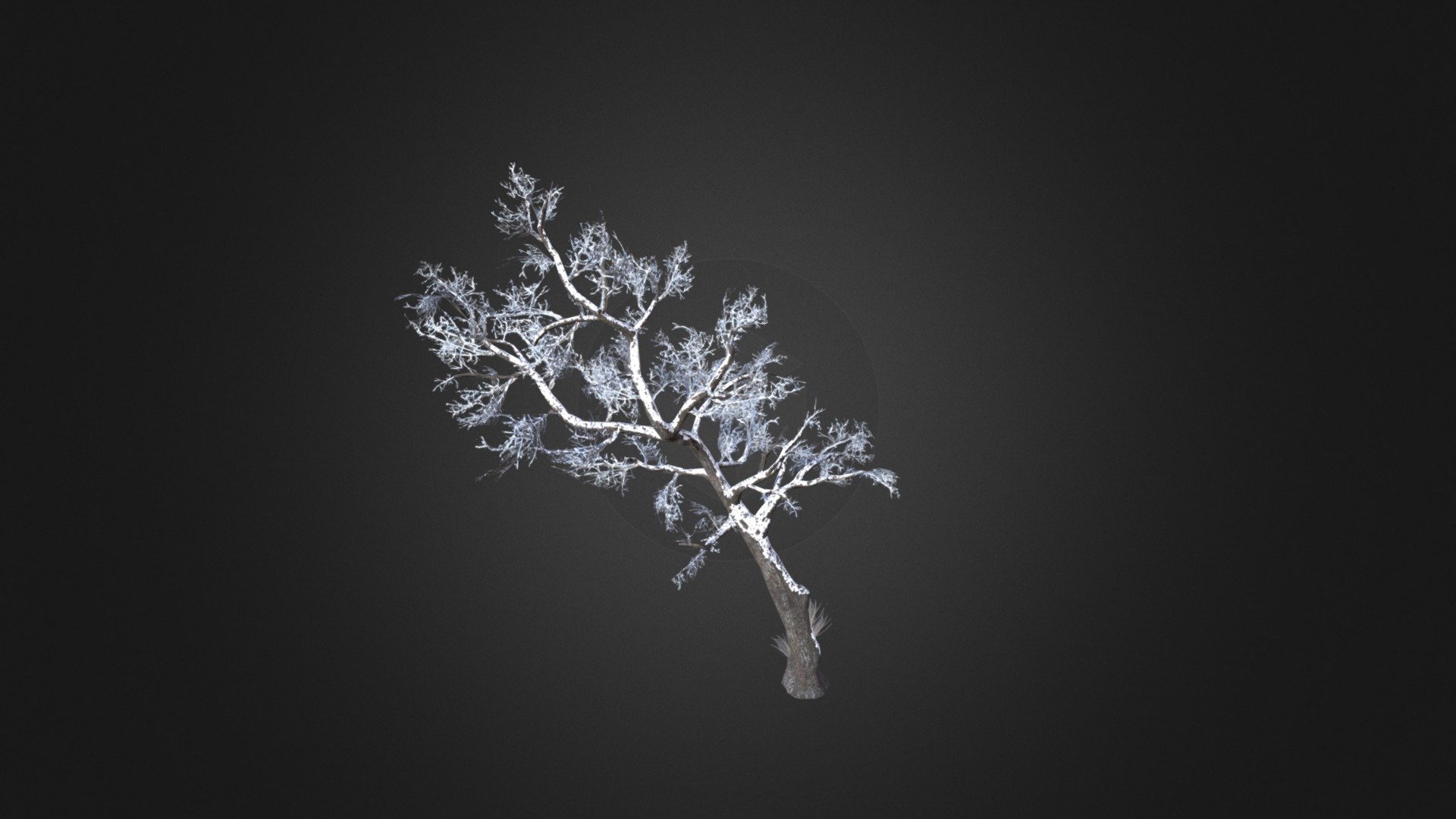 Hawthorn