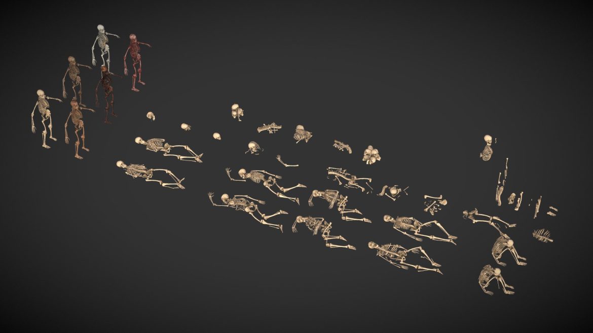 human skeleton remains 3d model