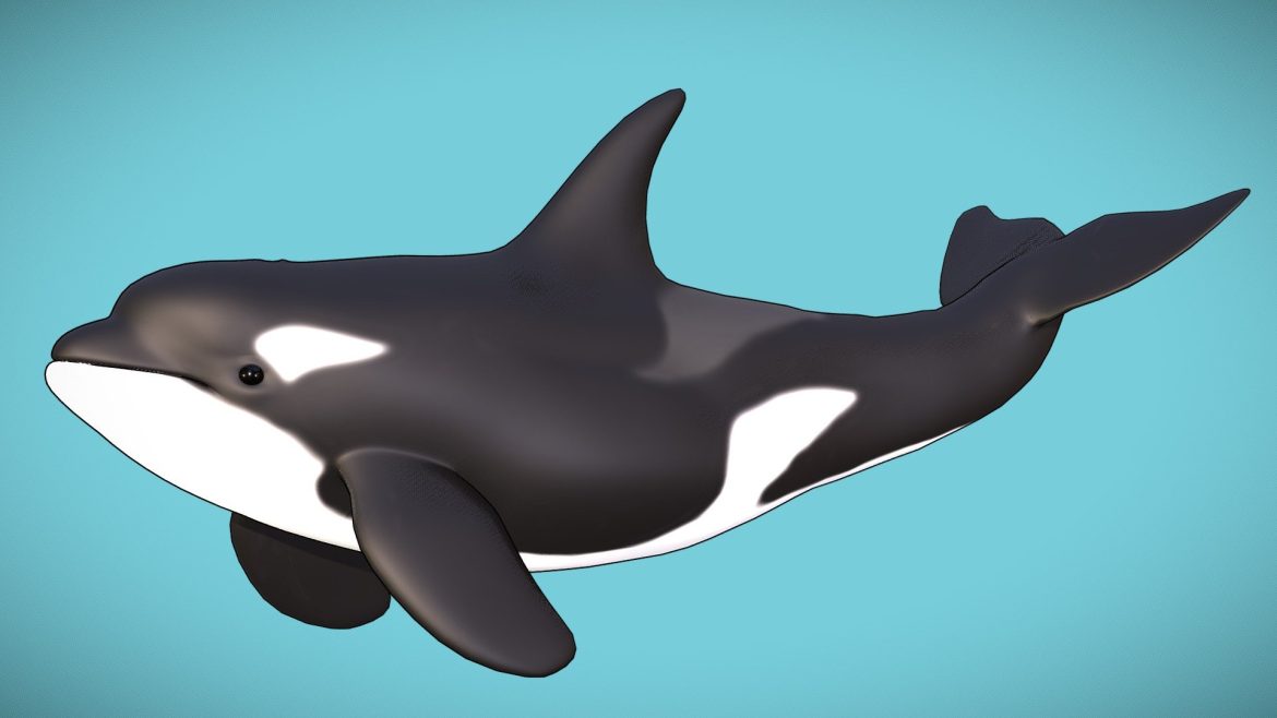Cartoon Orca 3d Model - Cartoon Orca 3D Model with Stylized Design for Marine Projects