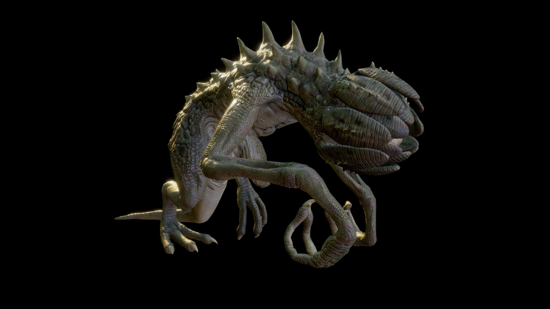LACODON ANIMATIONS