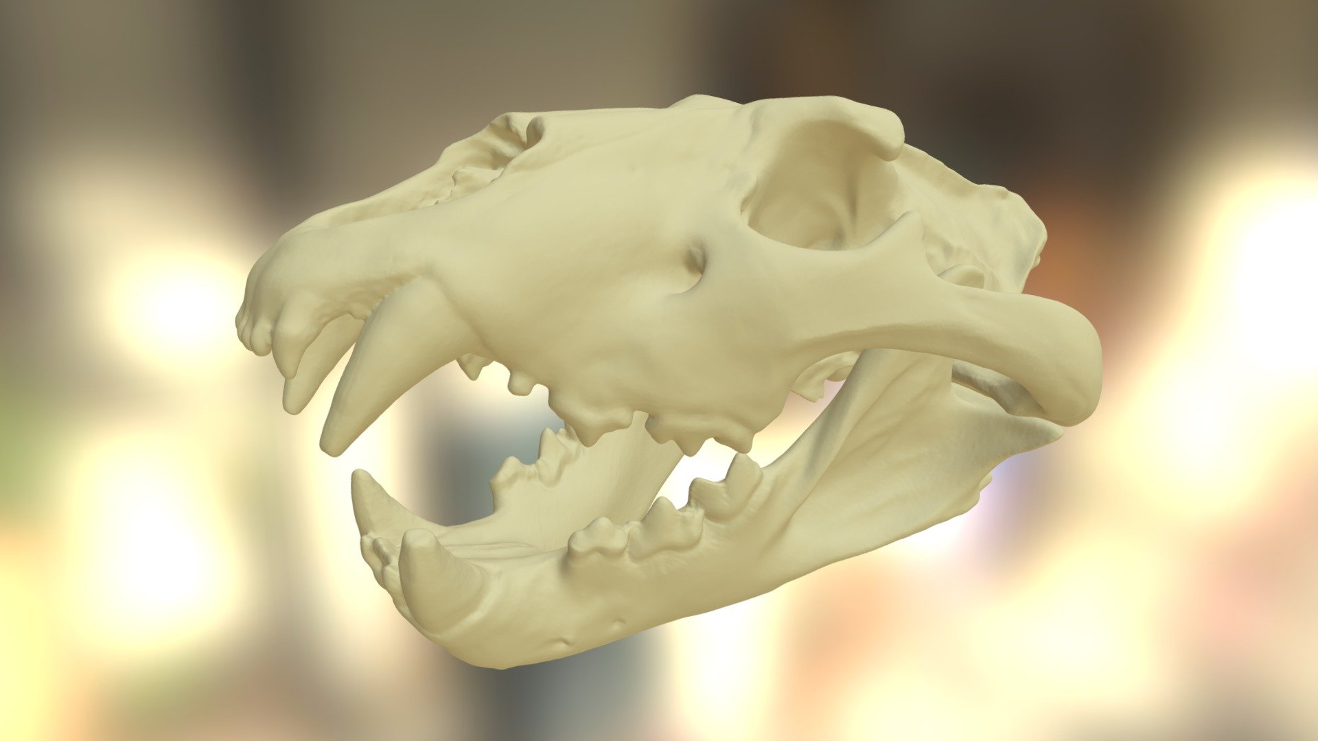 Lionskull