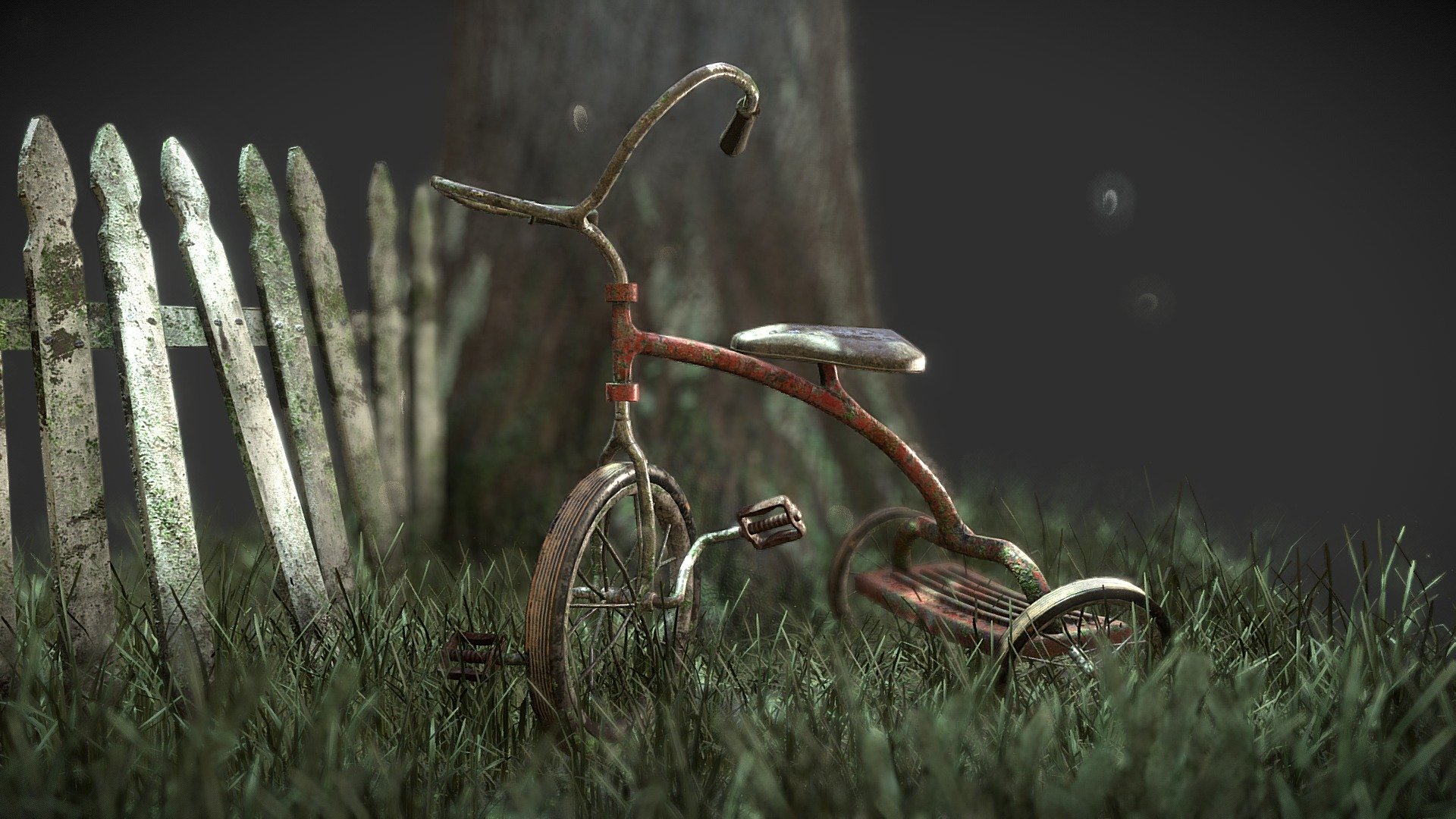 Lost in the Woods