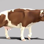Low Poly Cow