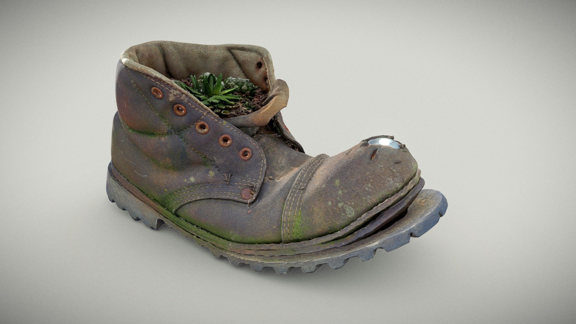 Old Boot With Cactus Plant