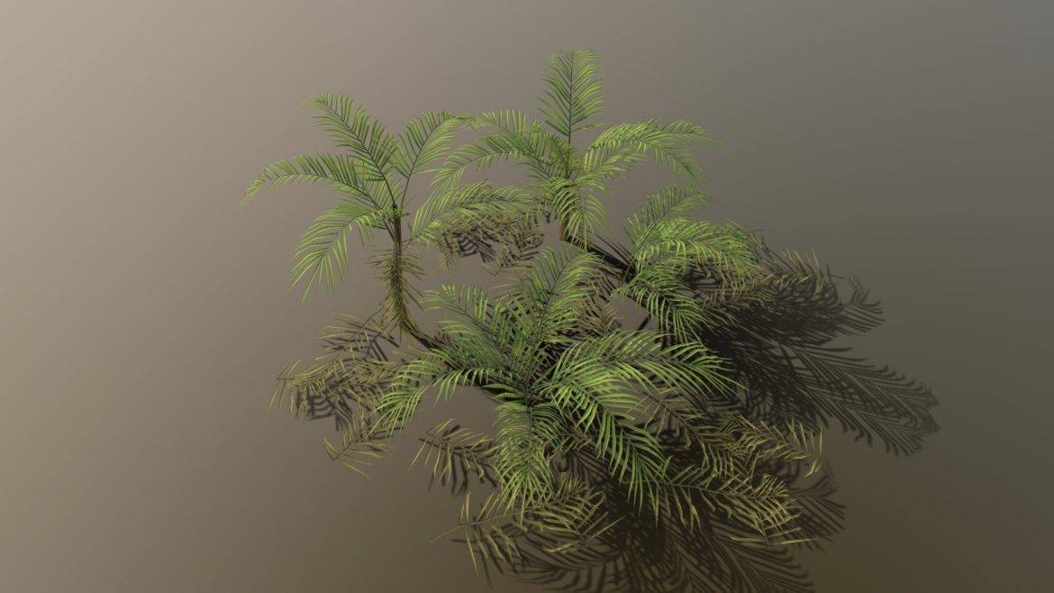 palm 3d model