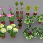 plants pack 3d model