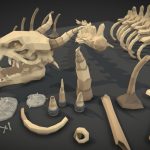 POLYGON – Dungeon Bones
