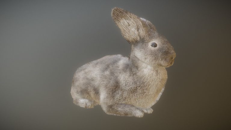 RABBIT ANIMATIONS - deep3dsea