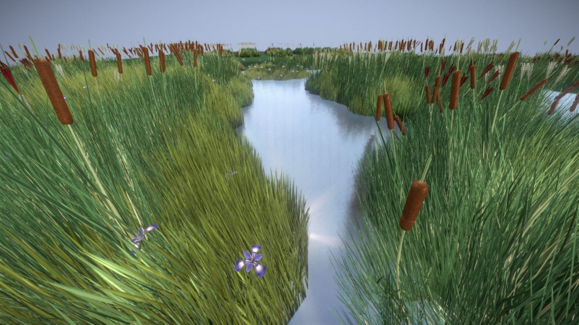 reeds done 3d model