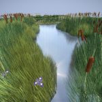Reeds Done