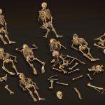 remains skeleton bone big pack 3d model