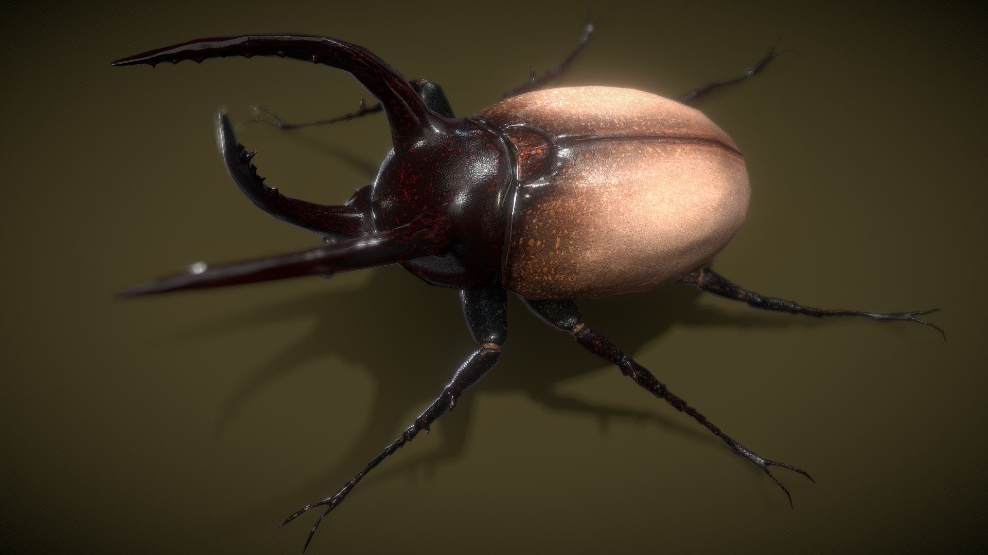 Rhino Beetle Lowpoly 3D