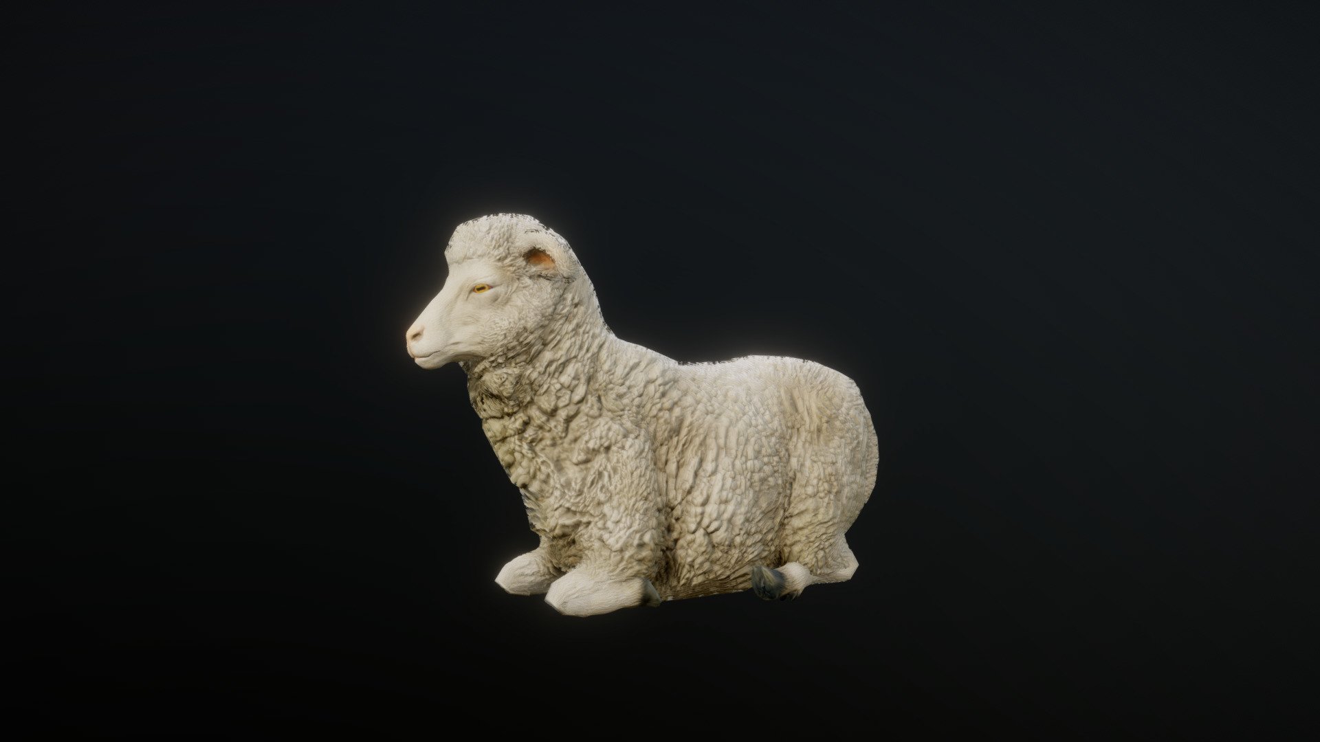 SHEEP ANIMATIONS