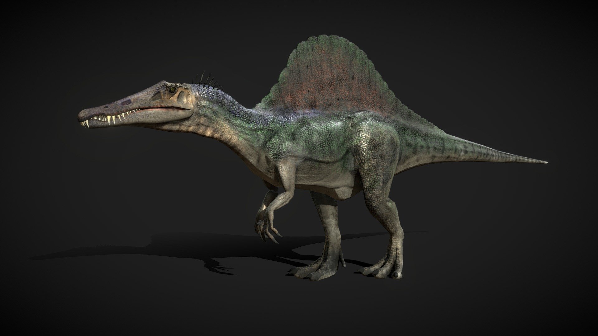 Spinosaurus LowPoly
