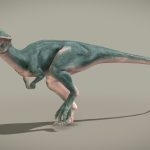 stegoceras validum 3d model