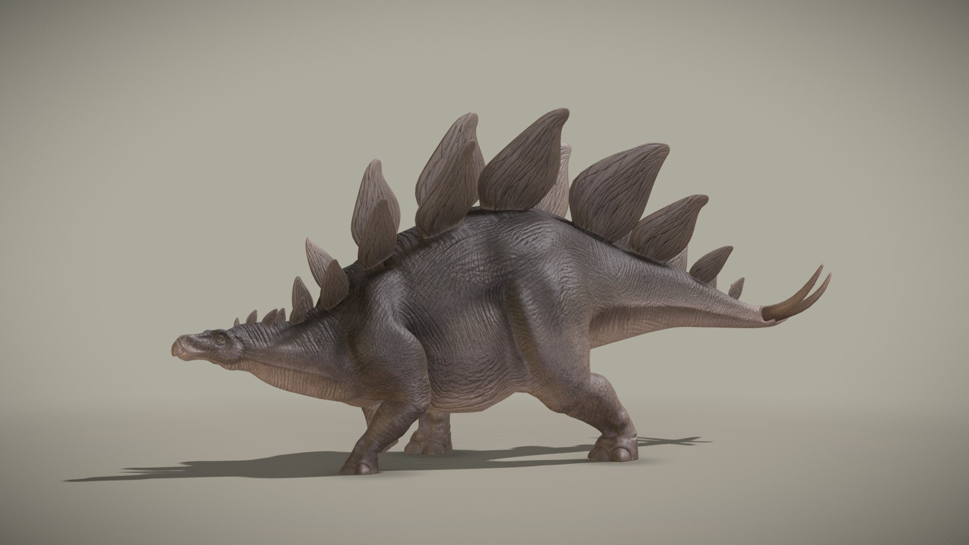 Stegosaurus Stenops