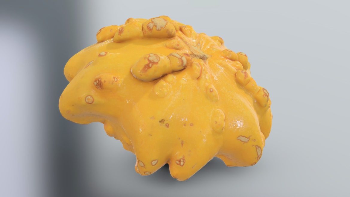 sunburst squash pattypan squash 3d model