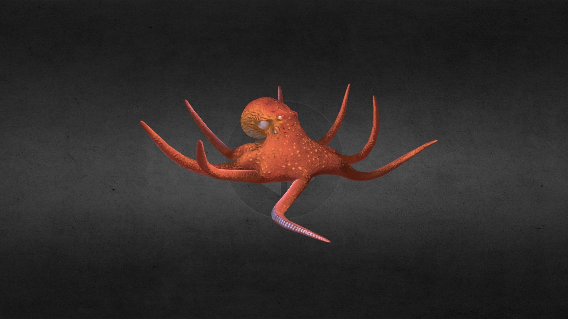 Swimming Octopus
