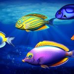 Tang Fish