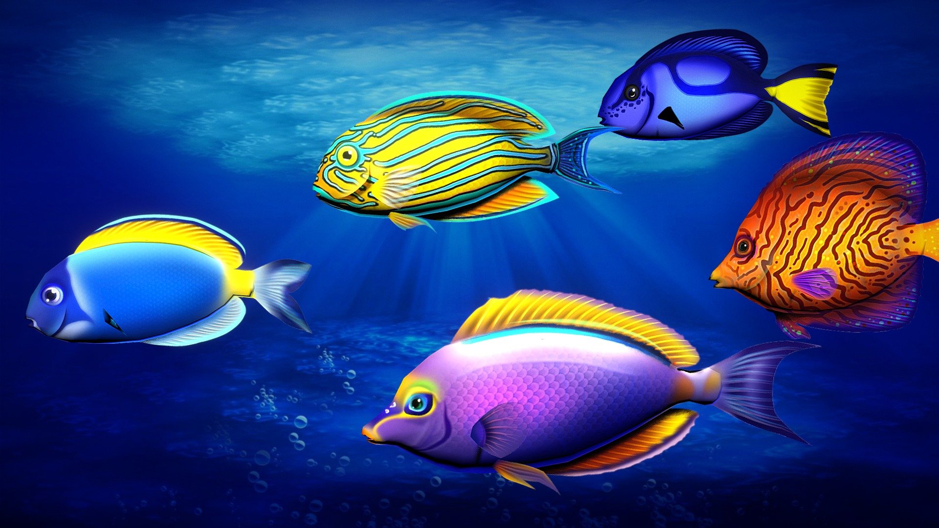 Tang Fish