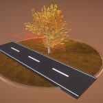 tilia tree 6 meter cropped branches autumn 3d model
